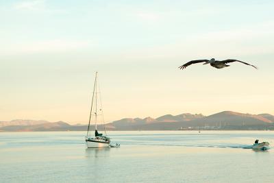 sailboat